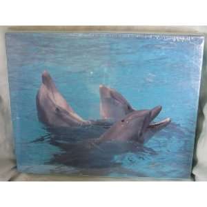   Cape Shore  Dolphins  Jigsaw Puzzle   550 pieces 