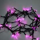   24v 52 Feet 160 Purple LED Christmas Wedding Party String Lights