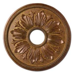 Focal Point 81618D 18 Inch Renaissance Medallion 17 7/8 Inch by 17 7/8 