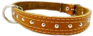 Leather Dog Collar Medium Large Brown Studs 16 21  