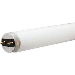 /CW FLUORESCENT LIGHT BULB COOL WHITE LONG LIFE DISPLAY FLUORESCENT 