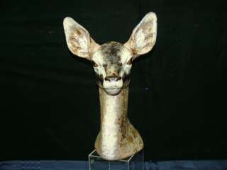 LARGE LLADRO DEER HEAD, RETIRED , 17 1/2 INCHES TALL  