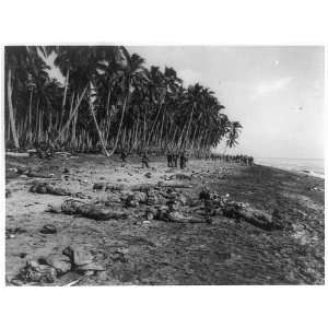  ,beach,US Marines,Guadalcanal,Solomon Islands,1942