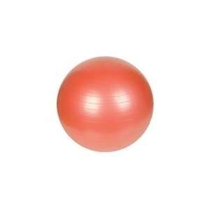  Exercise Ball   55cm Exercise Ball w/ Pump & Workout Chart 