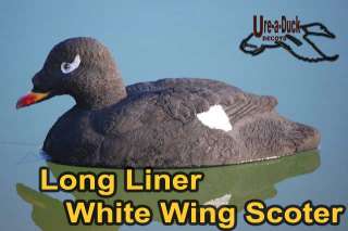 White Wing Scoter Duck Decoys White Wing Scoter Decoys  
