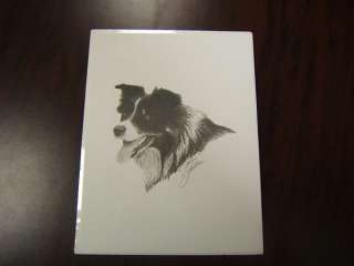 Dog Print Border Collie head pencil sketch signed (jd)  