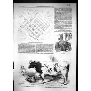 1857 Plan Farm Buildings Shirburn Oxon Prize Shorthorn Bull Smithfield 