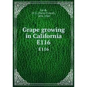  Grape growing in California. E116 H. E. (Harry Ernest 