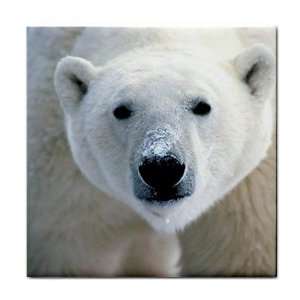  Polar Bear Ceramic Tile Coaster Great Gift Idea Office 