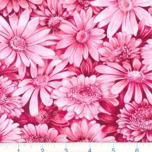 45 Wide Bright & Beautiful Mixed Daisies Pink Fabric By 