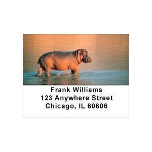  Hippo Heaven Address Labels