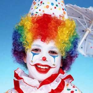    Peter Alan Inc 27077 Child s Rainbow Clown Wig