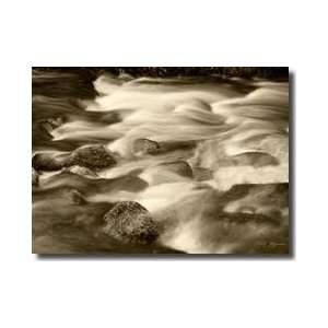  Sepia Waters V Giclee Print