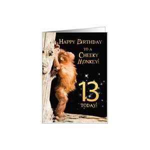    A 13th Birthday card for a Cheeky Monkey Card Toys & Games