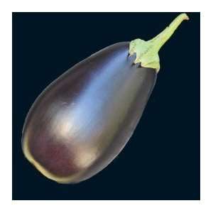  Florida Market Eggplant Seeds