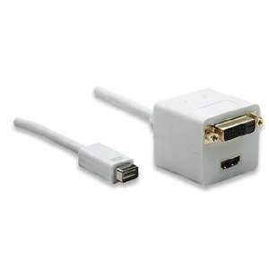   DVI to HDMI and DVI D DualLink Adapter   for iMac (Int Electronics