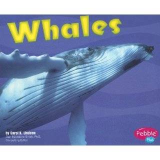 Whales (Under the Sea (Capstone Paperback)) by Carol K. Lindeen (Jan 1 