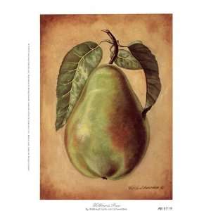  Williams Pear   Poster by Waltraud Fuchs Von Schwarzbek 