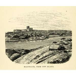  1886 Wood Engraving Marstrand Cow Island Landscape Vastra 