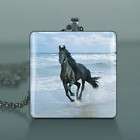 Black Horse On Beach Altered Art Glass Tile Pendant 195