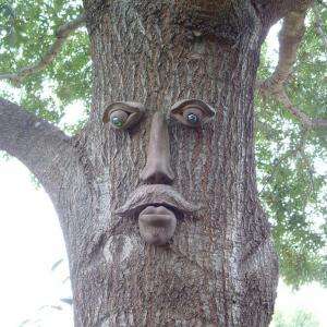 Genuine Tree Peeple Dagwood Tree Face 114 GTP HD 