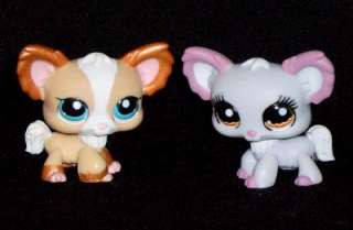 ADORABLE BOY & GIRL CHIHUAHUA PUPS LITTLEST PET SHOP NW  