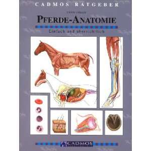 Pferde Anatomie  Chris Colles Bücher
