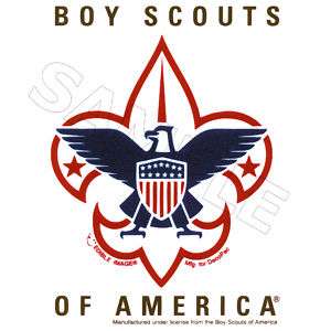 Boy Scouts Edible Cake Topper Decoration Image  