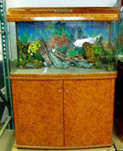 63 gallon seamless bow front glass aquarium with all  
