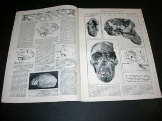 Illustrated London News   February 14, 1925 MICROSCOPE  