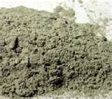 Atlantic Sea Kelp Powder 1 lb  