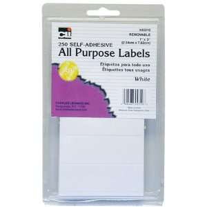  Charles Leonard Inc. Multi Purpose Labels, 1 x 3 Inches 