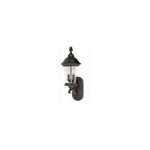  Clarion   3 Light   20   Wall Lantern   Arm Up W/ Clear 