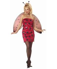 Lady Bug Costume Adult