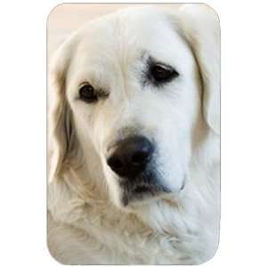    Golden Retriever Tempered Large Cutting Board