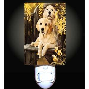  Golden Retriever Puppies Decorative Night Light