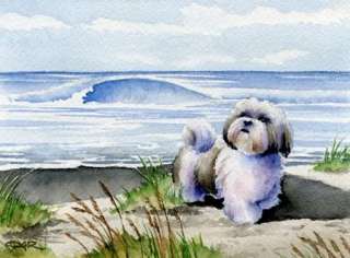SHIH TZU Beach Painting Dog ART 5 X 7 PRINT signed DJR  