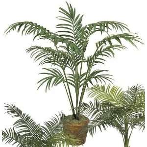   Foliages P 2840   8 Foot Paradise Palm Tree   Green
