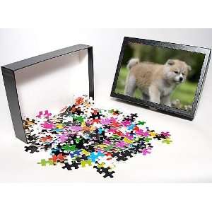   Dog   Akita / Akita Inu   puppy from Ardea Wildlife Pets Toys & Games