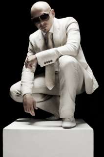 Pitbull American Rapper Hot Singer 36 Poster 04  