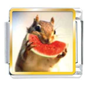  Animal Photo Squirrel And Sweet Watermelon Italian Charms 