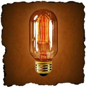   Life Hours   120 Volt   Antique Light Bulb Co. L4080