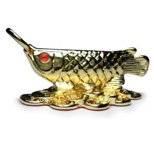  The Petite Gold Arowana   1.2 Feng Shui Fish for Wealth 