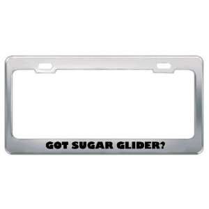 Got Sugar Glider? Animals Pets Metal License Plate Frame Holder Border 