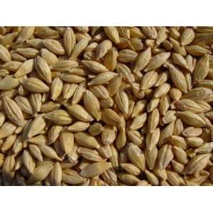 Barley 3 Lbs, All Natural Grocery & Gourmet Food