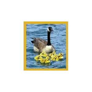  Mother Goose Fridge Magnet