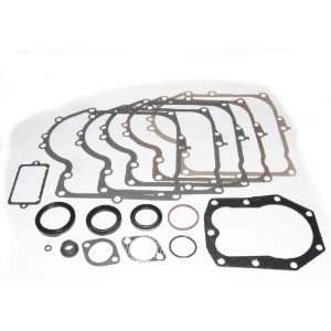 BRIGGS AND STRATTON 494241 GASKET SET ENGINE [Tools & Home Improvement 