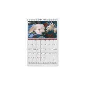   Visual Organizers Large Puppies Monthly Wall Calendar