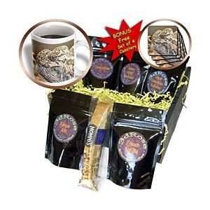 Taiche Photography   Reptiles Chameleon   Coffee Gift Baskets   Coffee 