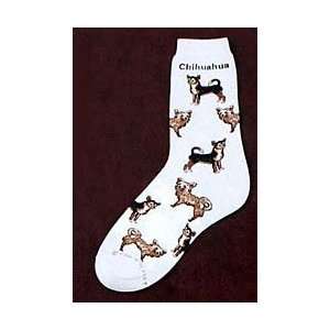  Chihuahua Socks